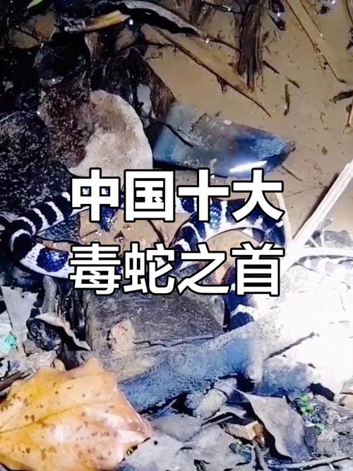 上元节的来历和习俗 要吃什么 上元节的来历和习俗 要吃什么