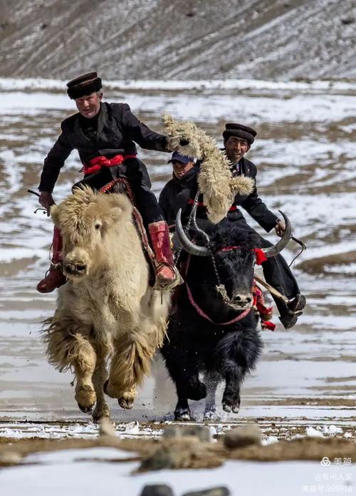 天秤女学习上的缺点,天秤座女孩的缺点是什么