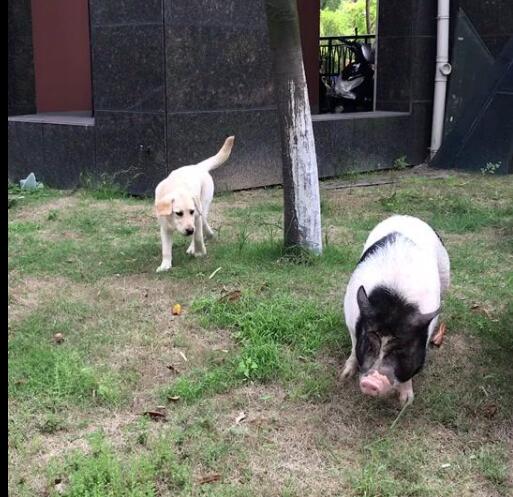 易经全文第五十三卦-《渐卦》 易经全文第五十三卦-《渐卦》