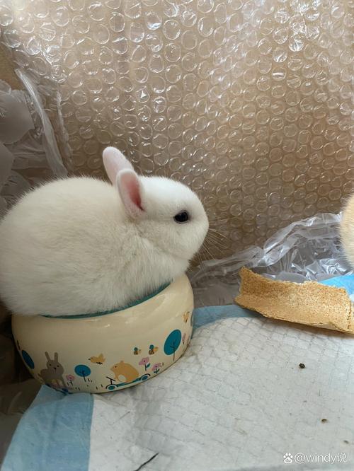 诸葛武侯传中六壬天罡掌诀 诸葛武侯传中六壬天罡掌诀