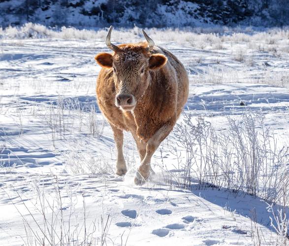 怎样看怎样看手相 怎样看怎样看手相