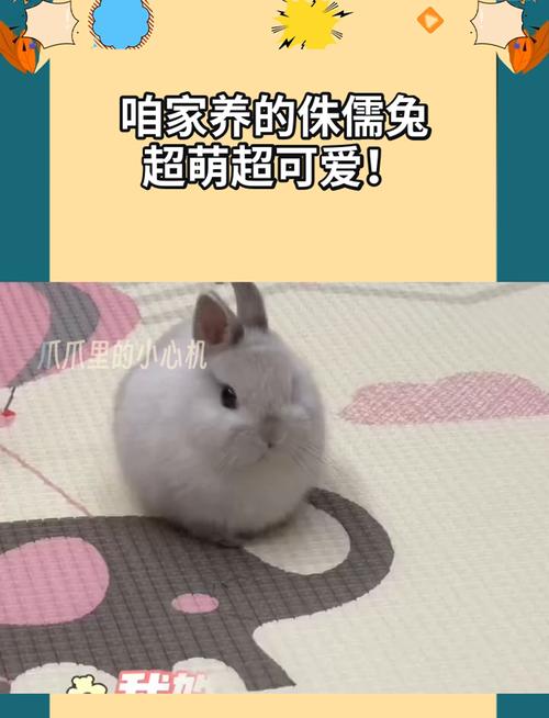 东方算命网免费算命是否能助你迎接学业上升期的转机(东方算命网免费算命会影响我的学业上升期吗) 东方算命网免费算命是否能助你迎接学业上升期的转机(东方算命网免费算命会影响我的学业上升期吗)