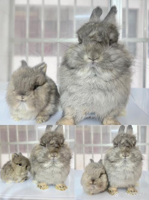 本命佛吊坠可以放车上吗(本命佛可以挂在车里吗) 本命佛吊坠可以放车上吗(本命佛可以挂在车里吗)