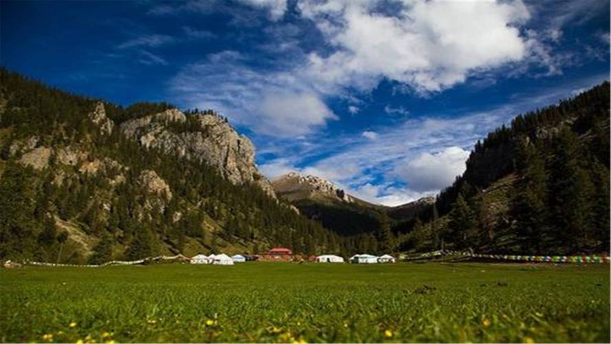 属羊的今日运势怎么样