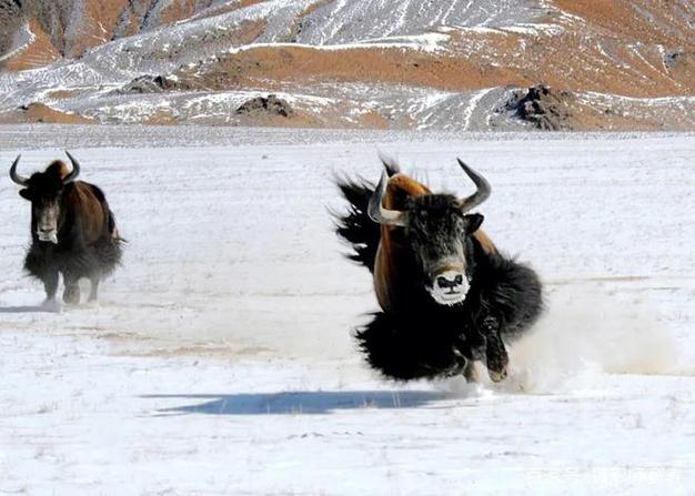 李敏姓名测试是否能揭示夫妻关系中的隐患与秘密(李敏姓名测试是否预示着夫妻关系的潜在问题和隐患)