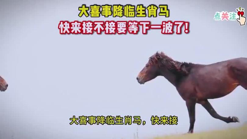 金牛座老婆 金牛座老婆