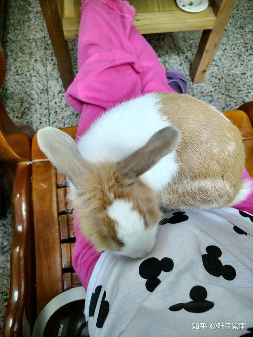 观音抽签第81签消费观念是否明智(观音抽签第81签消费观念是否合理)