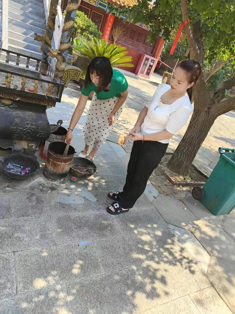 王茜华主演的电视剧全部