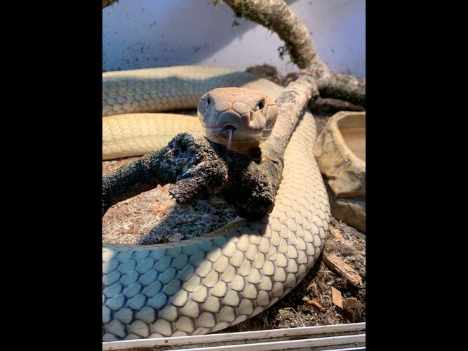 己亥年出生的人在姓名配对指数上是否真的能找到完美伴侣的秘密