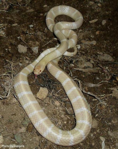 怎么根据手相看事业