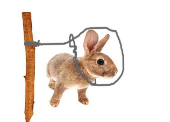 心理问题测试水比反弯水要强得多。房屋前后