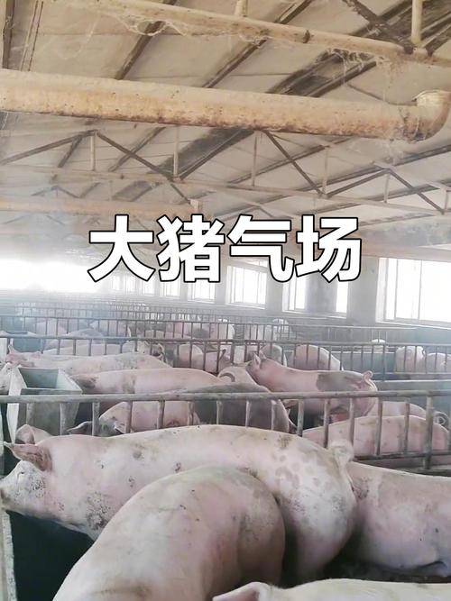 节假日求子是否顺利月老灵签94签白话解签(求子签中月老灵签94签白话解签节假日安排是否有喜)