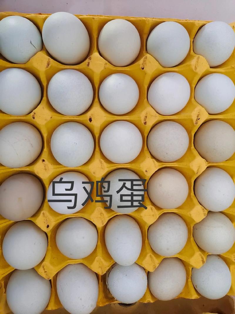 今日五行缺什么，运势如何参考 (今日五行缺什么查询)