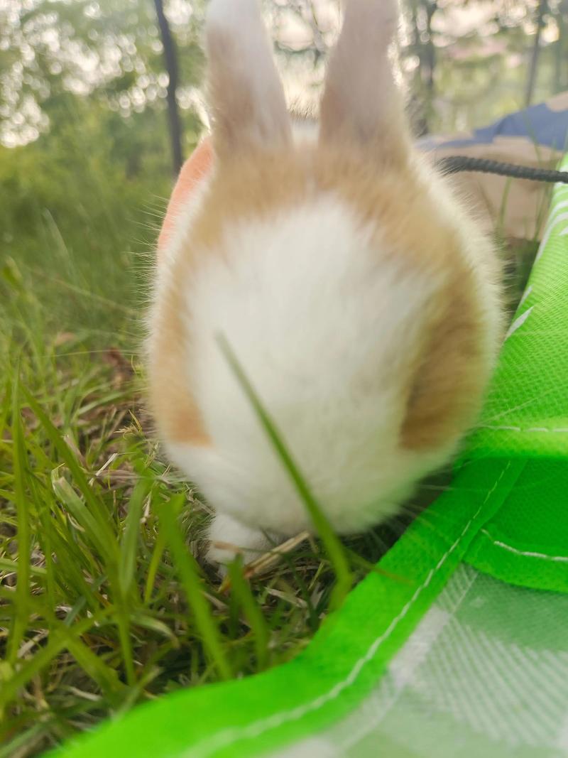 命宫的查法表 命宫的查法表