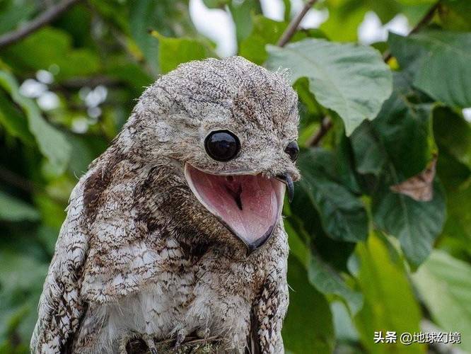 2025超拽霸气个性签名大全 2025超拽霸气个性签名大全