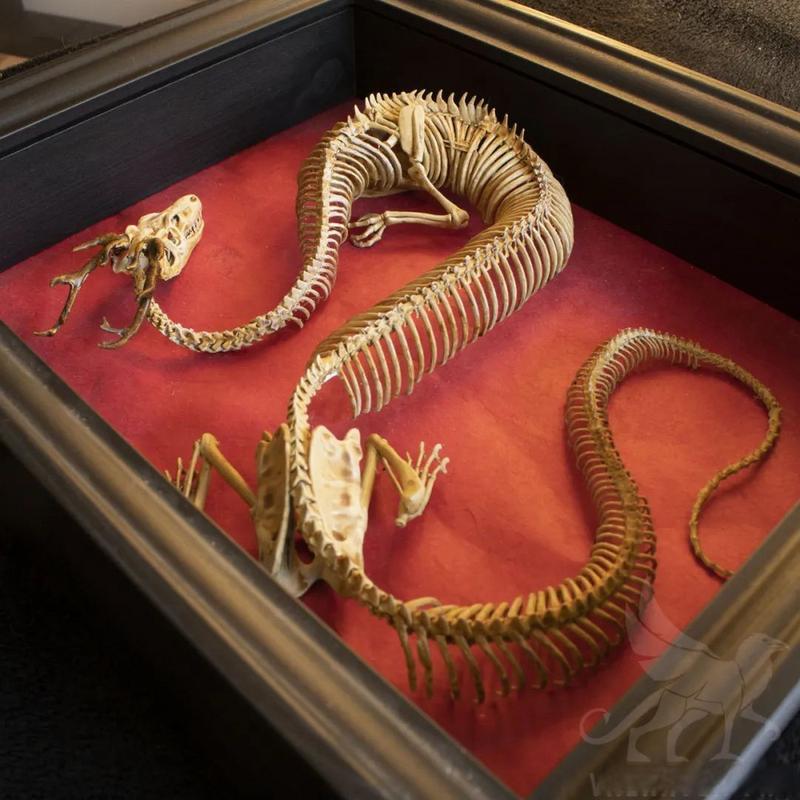 水瓶座对手星座 水瓶座智斗所有星座