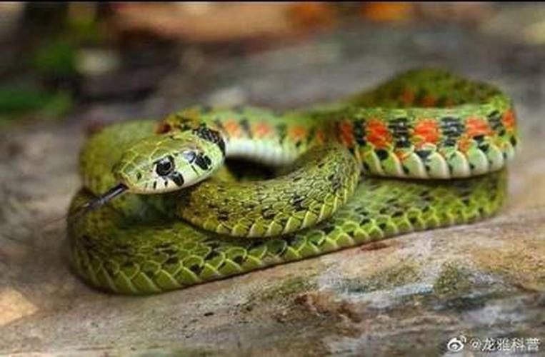 演员杜源的妻子是谁 电影演员杜源的老婆 演员杜源的妻子是谁 电影演员杜源的老婆