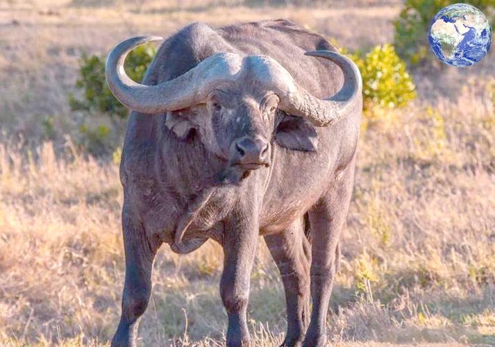 2021年4月8日五行穿衣指数 (2021年4月12号是什么星座)