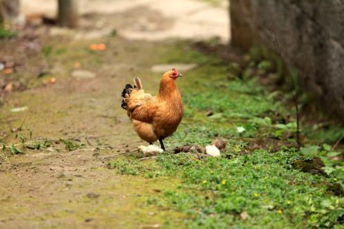 企业大门设计风水 企业大门设计风水