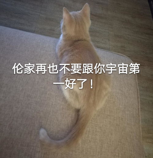 吴莫愁哈林疑同居吴莫愁和哈林什么关系