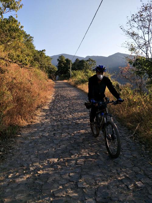 十二生肖本命佛贴纸销售（12生肖本命佛符号）