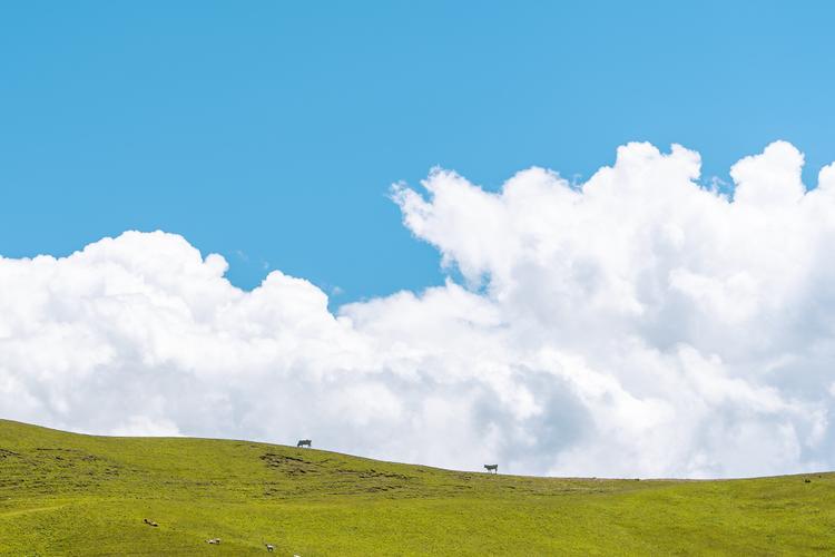 紫微斗数特别像的两个人