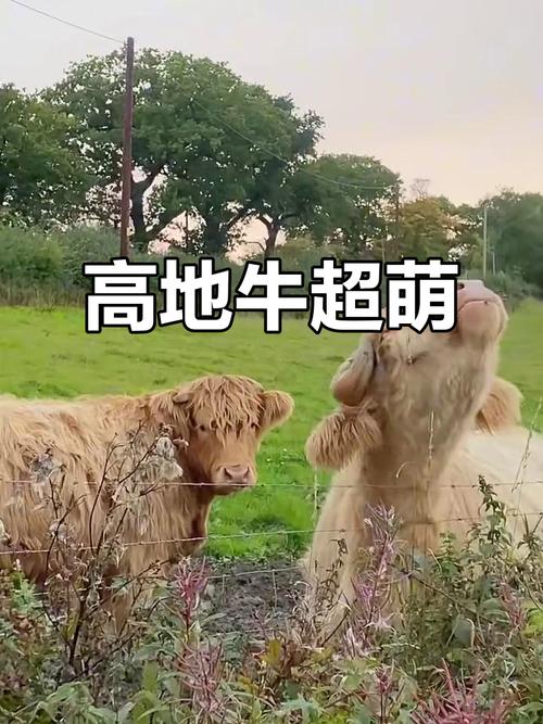 2025年5月26日财神方位表 今日财喜方向