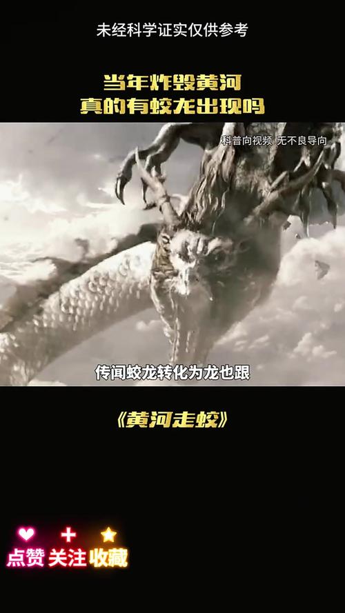 虎年生肖龙与生肖马配对是否真的能和谐共处，他们的性格差异会带来哪些潜在问题