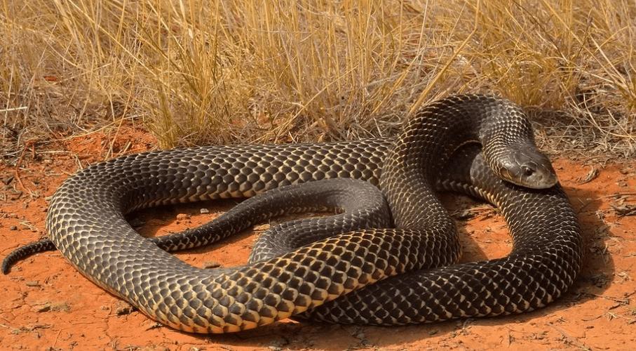 天格地格人格起名 天格地格人格起名