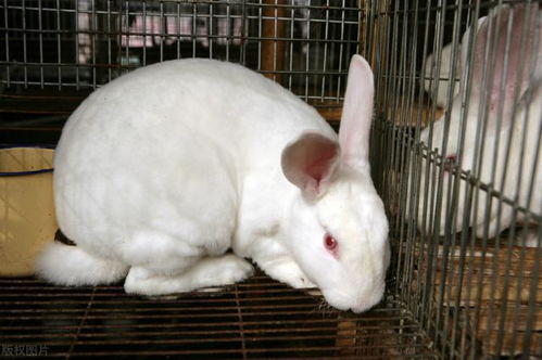 好听的公会名字办公室窗户风水禁忌 好听的公会名字办公室窗户风水禁忌