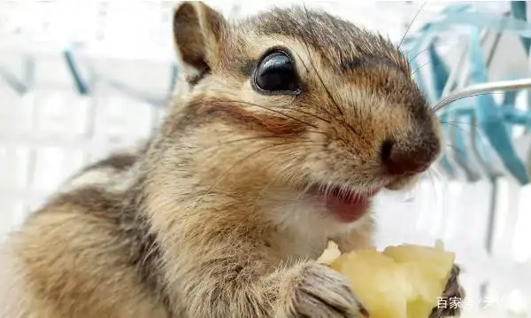 yahoo姓名测试是否暗示着潜藏的心理障碍问题(yahoo姓名测试是否会影响心理障碍的潜在因素与八卦关联) yahoo姓名测试是否暗示着潜藏的心理障碍问题(yahoo姓名测试是否会影响心理障碍的潜在因素与八卦关联)