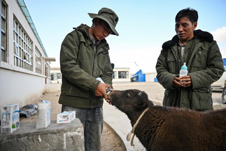 紫微斗数怎么看流年大运 紫微斗数怎么看流年大运