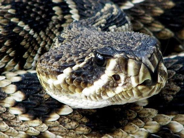 深圳坪山企业风水布局