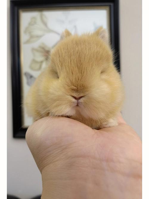 八字算命凶吉解析_你的命盘是否隐藏着不为人知的潜在危机？