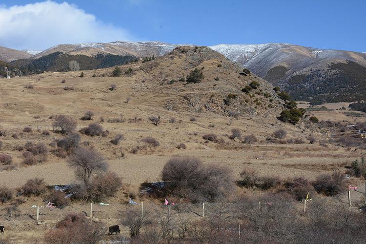 酉山卯阴宅出什么人才 酉山卯阴宅出什么人才