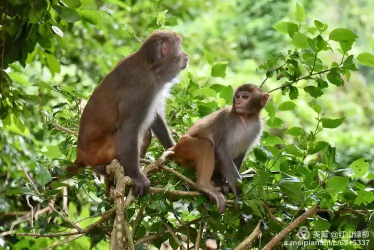 装修复式客厅风水禁忌图片(客厅玄关风水禁忌有哪些客厅玄关四大风水禁忌)