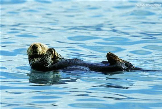 王一博孟美岐图片孟美岐王一博什么时候交往 王一博孟美岐图片孟美岐王一博什么时候交往