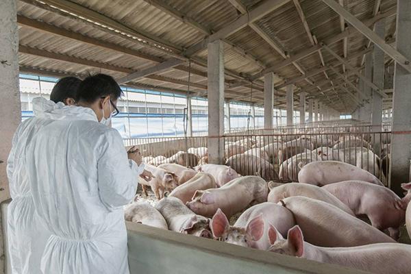 2025年上半年适合搬家乔迁的好日子一览表