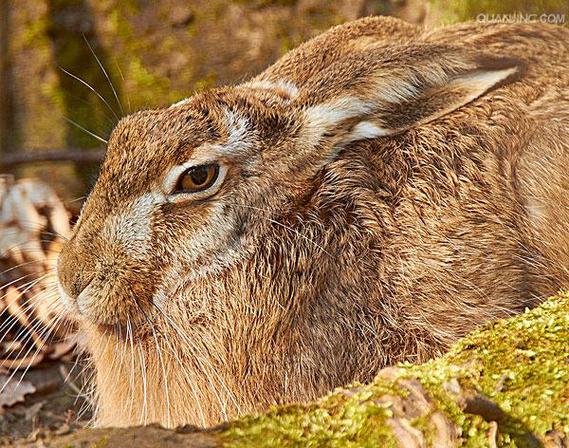 郭奕凡测字如何帮助夫妻实现相互包容的关系呢(郭奕凡测字为何强调夫妻相互包容的重要性呢)