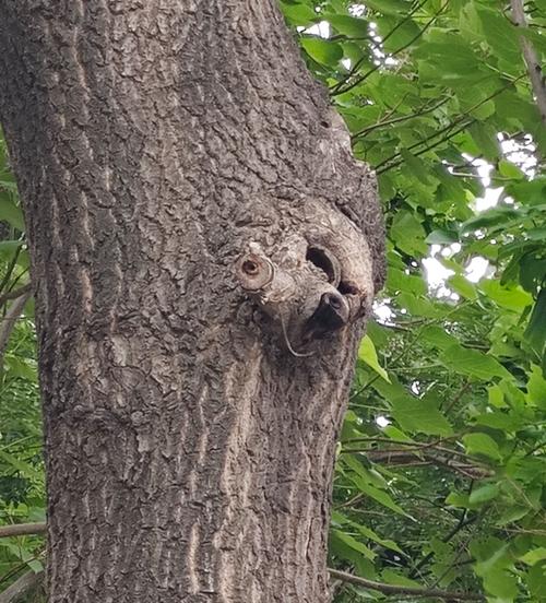 长得丑的手相男生 长得丑的手相男生