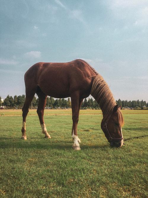 属龙人2025年结婚最好的日子 属龙人2025年宜结婚黄道吉日
