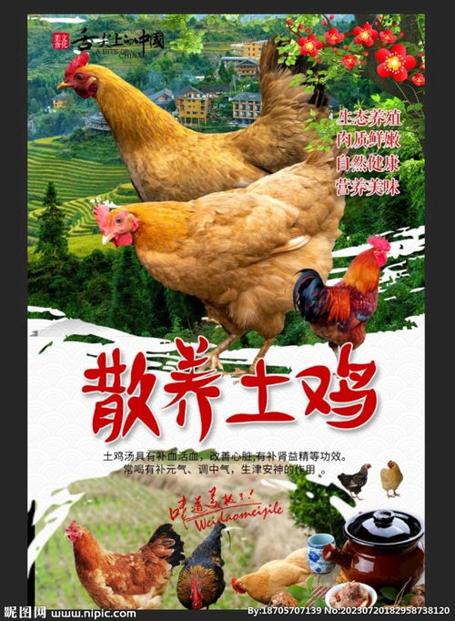 带本命佛的好处(带本命佛的好处和禁忌) 带本命佛的好处(带本命佛的好处和禁忌)