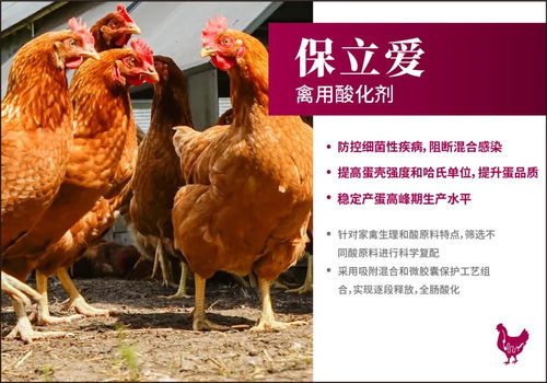 接近的星座 需要回应的星座 接近的星座 需要回应的星座