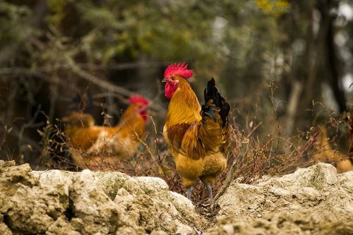 机械配件公司起名为何让人感觉沟通困难难以释怀(机械配件公司起名时为何选择青色能改善沟通障碍) 机械配件公司起名为何让人感觉沟通困难难以释怀(机械配件公司起名时为何选择青色能改善沟通障碍)