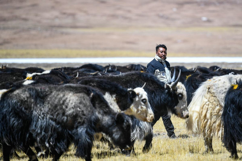 网上卖的本命佛能信吗(淘宝上卖的本命佛能信吗)