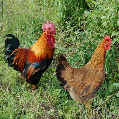 天生有抬头纹的女人旺夫吗 有福气的女人面相 天生有抬头纹的女人旺夫吗 有福气的女人面相