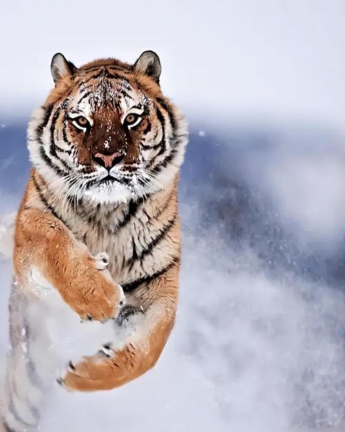 最近风水禁忌大全图片欣赏(楼房住宅风水禁忌)