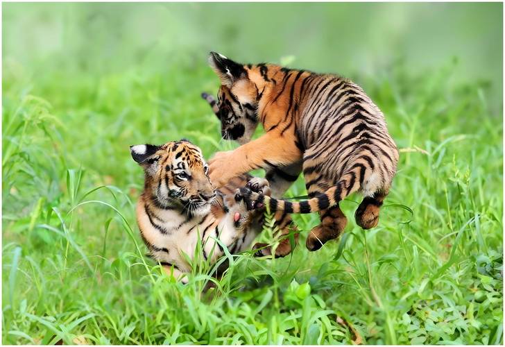 娱乐圈最黑暗的真相娱乐圈黑暗吗到底有多黑