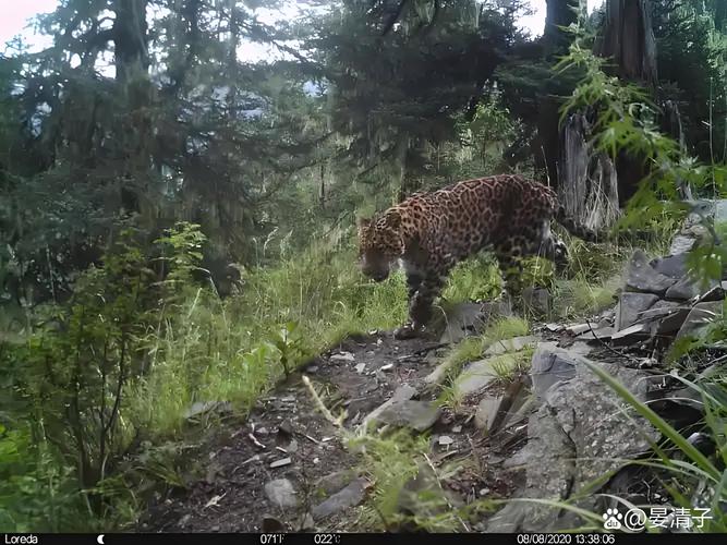 摩羯座男性的特点和性格 摩羯座男性的特点和性格
