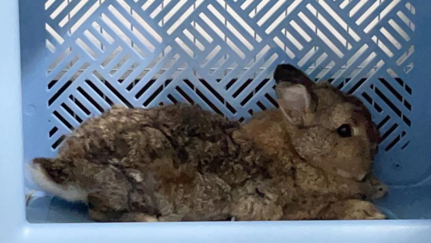 吕祖灵签面授班能否解开性格密码(担心吕祖灵签面授班性格特质影响择业吗)